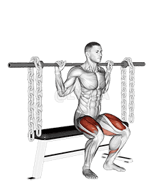 Barbell Bench Squat demonstration