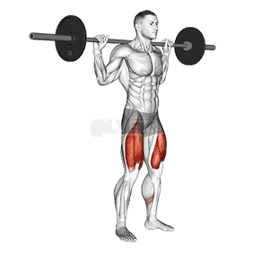 Quarter Squat demonstration