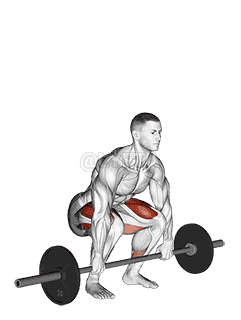 Barbell Clean Deadlift demonstration