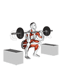 Barbell Clean From Blocks demonstration