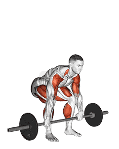 Barbell Clean Pull demonstration