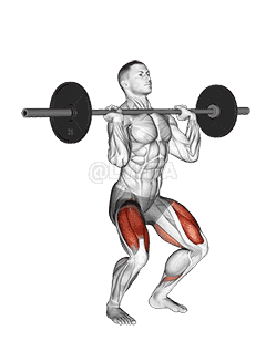 Barbell Jerk Dip Squat demonstration