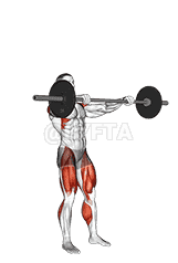Barbell Muscle Snatch demonstration
