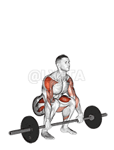 Barbell Squat to Upright Row demonstration