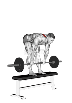 Barbell Stiff Leg Deadlift on Bench demonstration