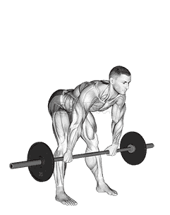 Barbell Wide Stance Stiff Leg Deadlift demonstration
