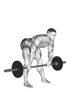 Barbell Wide Stance Stiff Leg Deadlift demonstration