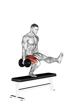 Dumbbell Bench One Leg Squat demonstration