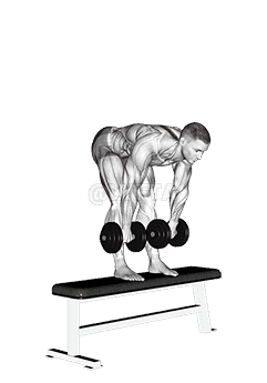 Dumbbell Stiff Leg Deadlift on Bench demonstration