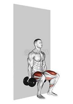 Dumbbell Wall Squat demonstration