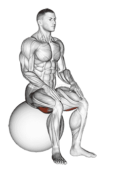 Exercise Ball Seated Hamstring Stretch demonstration