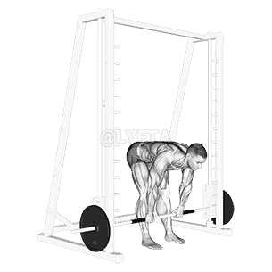 Smith Stiff Legged Deadlift demonstration