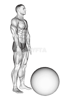 Standing Straight Leg Hamstring Contract Relax on Exercise Ball demonstration