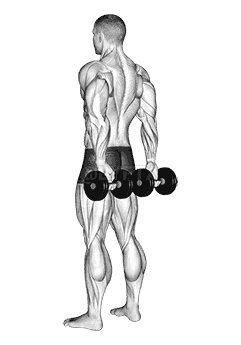 Dumbbell Behind Back Finger Curl demonstration