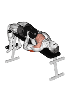 Dumbbell Decline One Arm Hammer Press demonstration