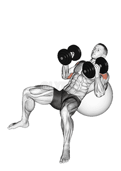 Dumbbell Incline Hammer Press on Exercise Ball demonstration