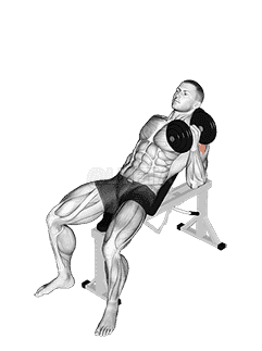 Dumbbell Incline One Arm Hammer Press demonstration