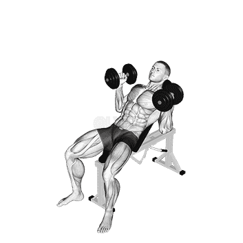 Palms In Incline Bench Press demonstration