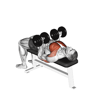 Reverse Bench Press demonstration