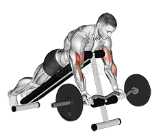 EZ Barbell Spider Curl demonstration