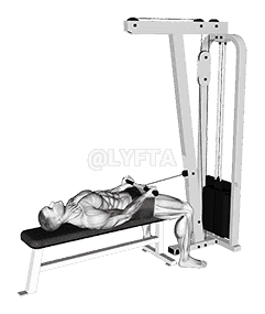 Cable Lying Bicep Curl demonstration