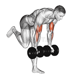 Dumbbell Bicep Curl With Stork Stance demonstration