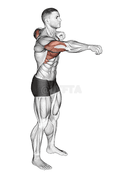 Push and Pull Bodyweight demonstration