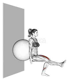 Stability Ball Single Leg Squat demonstration