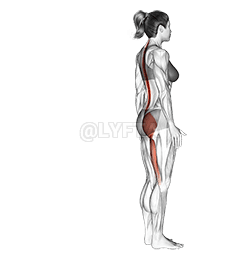Single Leg Foot Touch demonstration
