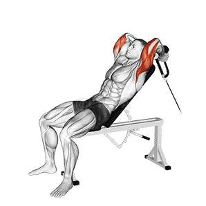 Rope Incline Tricep Extension demonstration