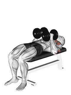 Dumbbell Close Grip Press demonstration