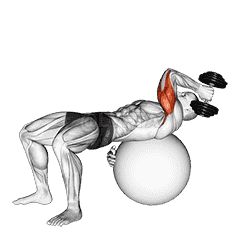 Dumbbell One Arm French Press on Exercise Ball demonstration
