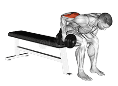Dumbbell Seated Bent Over Triceps Extension demonstration