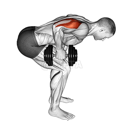 Dumbbell Standing Bent Over One Arm Triceps Extension demonstration