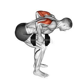 Standing Bent Over Two Arm Triceps Extension demonstration
