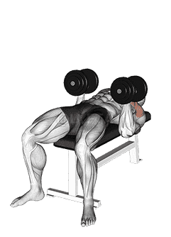 Dumbbell Twisting Bench Press demonstration