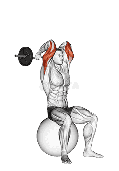 EZ Bar French Press on Exercise Ball demonstration