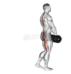 Dumbbell Single Leg Deadlift demonstration