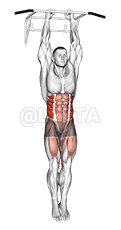 Hanging Oblique Knee Raise demonstration