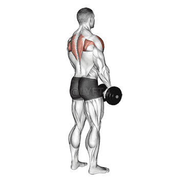 Upright Row demonstration
