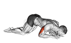 Bodyweight Kneeling Triceps Extension demonstration