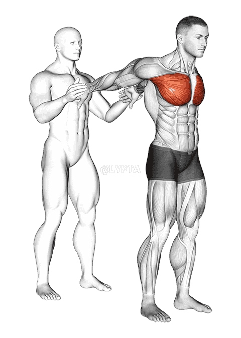 Assisted Standing Chest Stretch demonstration