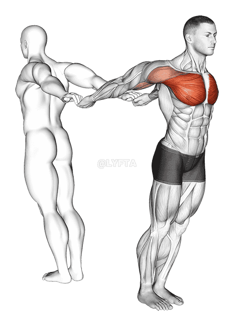 Assisted Pulling Backs Chest Stretch demonstration