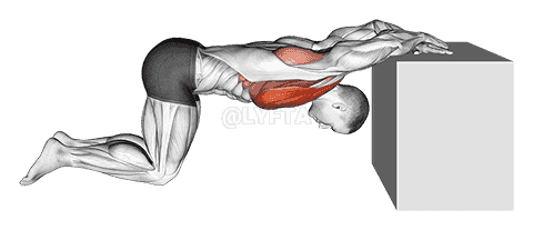 Kneeling Chest Stretch demonstration
