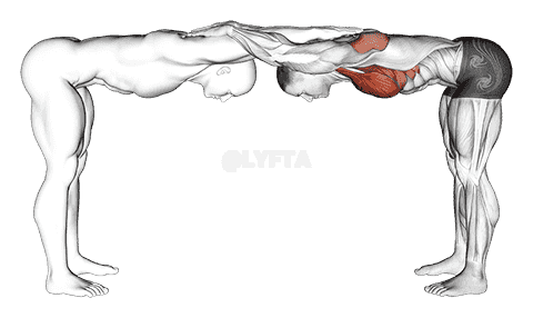 Assisted Trunk Flex Chest Stretch demonstration