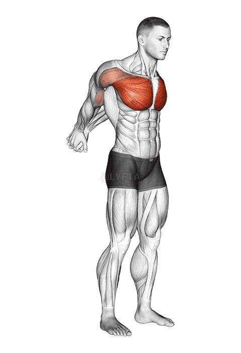 Straight Arms Backward Chest Stretch demonstration
