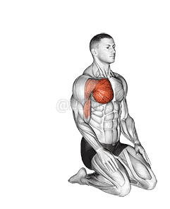 Over Head Straight Arm Stretch demonstration
