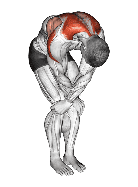 Cross over shoulder stretch demonstration