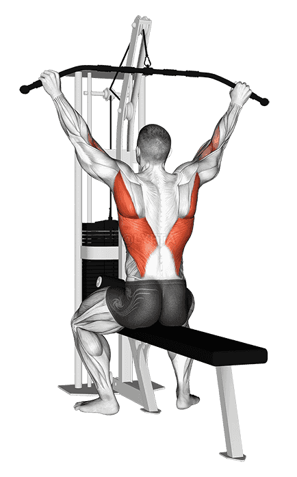 Cable Suspension Back Stretch demonstration