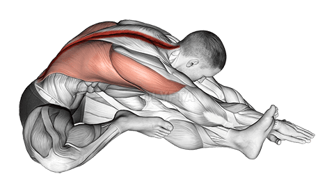 Sitting Side Reach Stretch demonstration